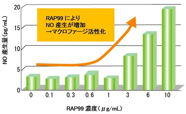 RAP99濃度によるNO産生量の変化について